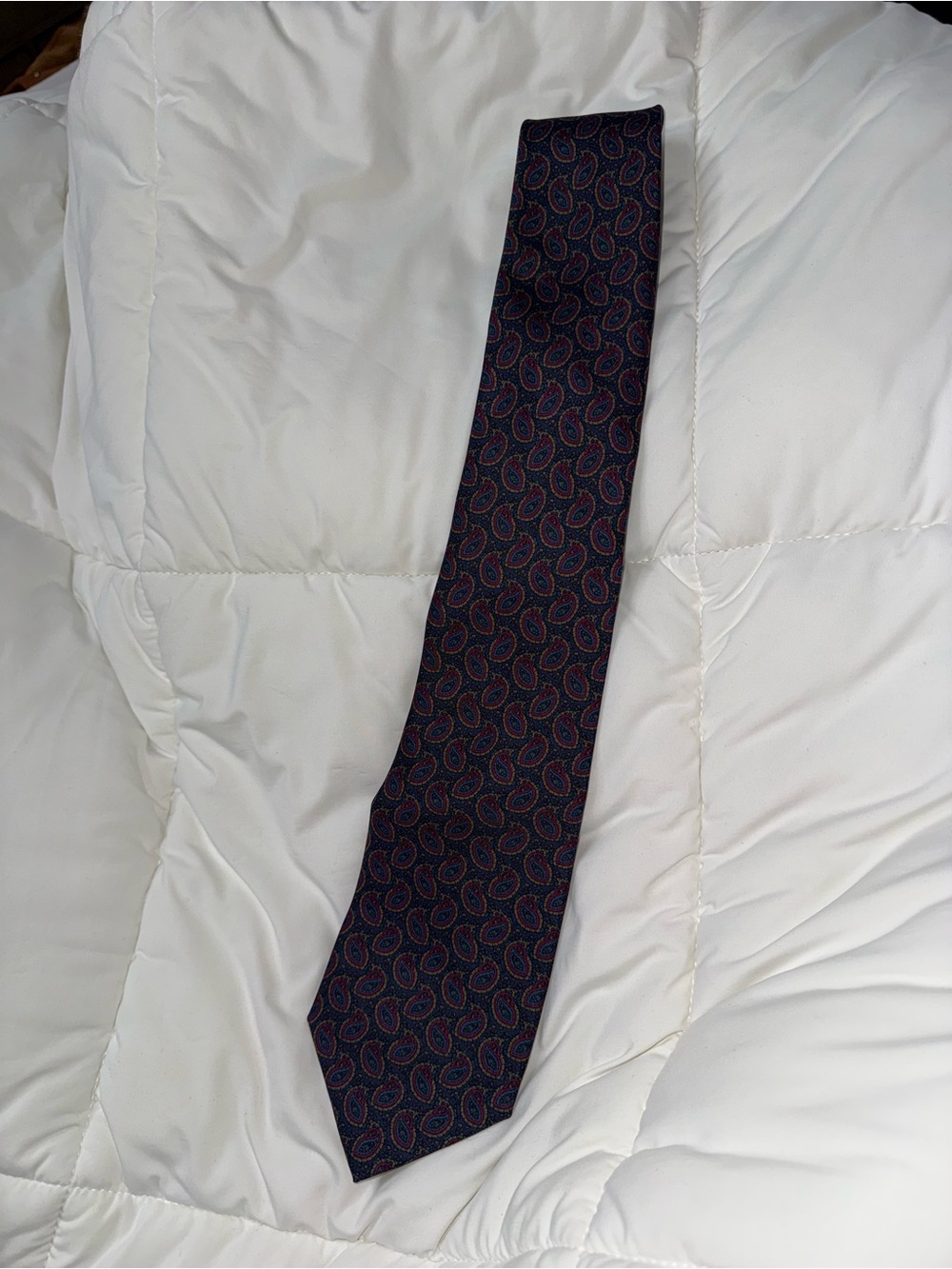 Classic Paisley Silk Tie in Navy and Burgundy